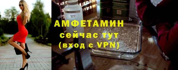 прущие грибы Беломорск