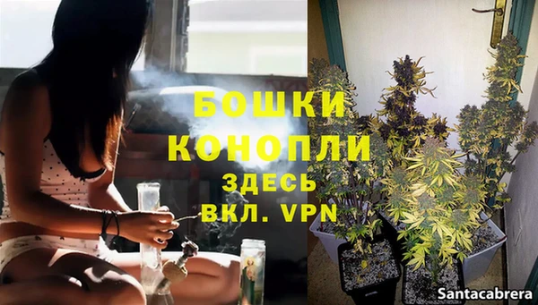 гашик Белокуриха