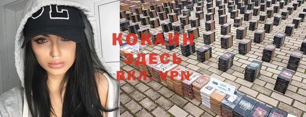 гашик Белокуриха