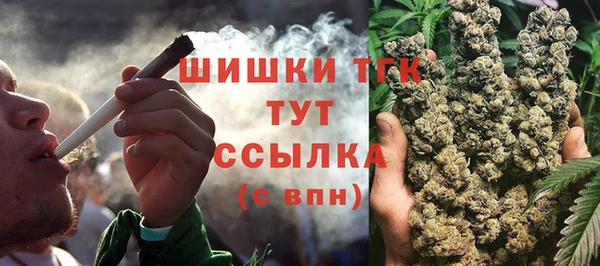 прущие грибы Беломорск