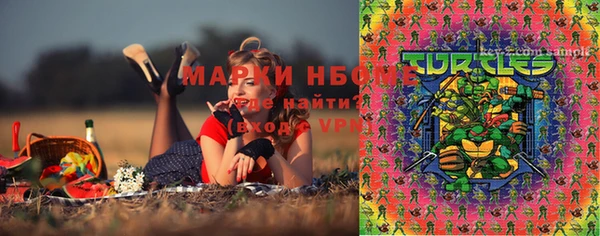 гашик Белокуриха