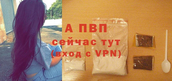 гашик Белокуриха
