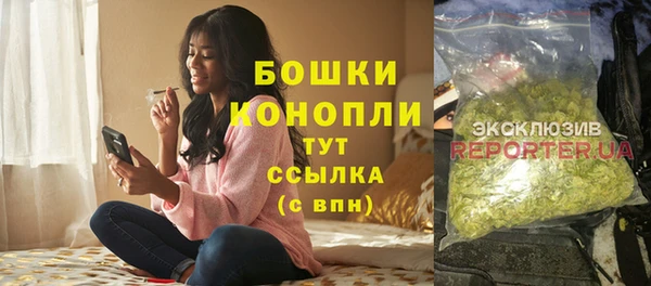 прущие грибы Беломорск