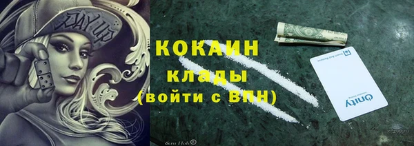 гашик Белокуриха