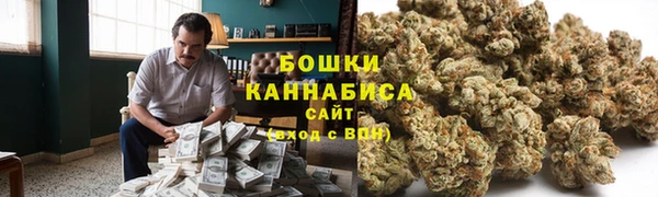 прущие грибы Беломорск