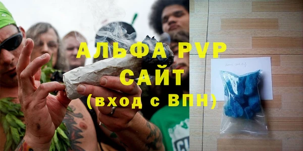 гашик Белокуриха